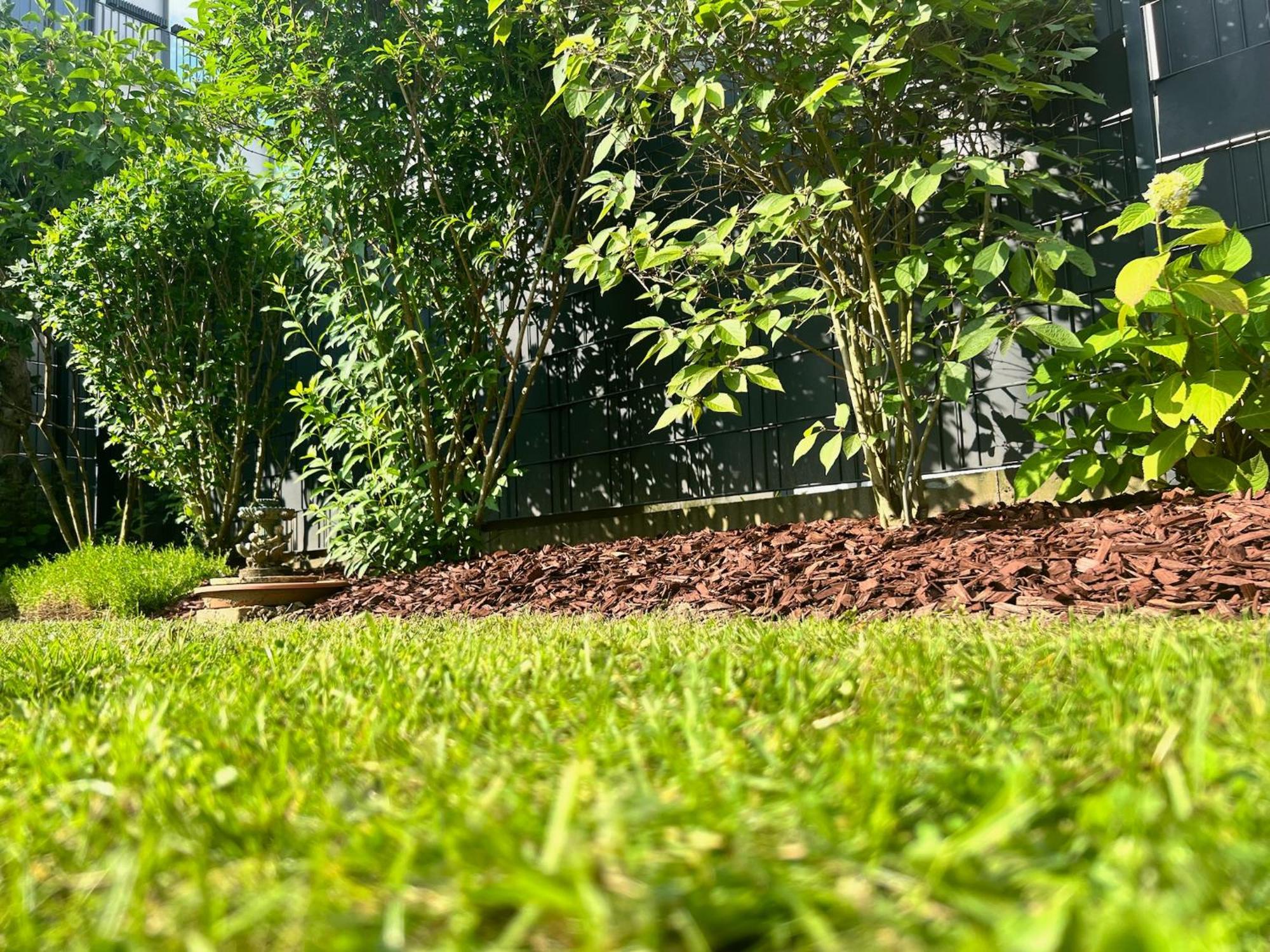 Ferienhaus Mit Garten Hürth Esterno foto